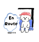 ビションフリーゼ 日常会話フランス語（個別スタンプ：35）