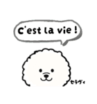 ビションフリーゼ 日常会話フランス語（個別スタンプ：36）