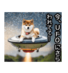 やる気がない柴犬 2（個別スタンプ：12）