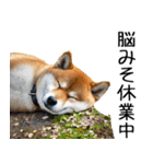 やる気がない柴犬 2（個別スタンプ：19）