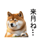 やる気がない柴犬 2（個別スタンプ：23）