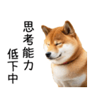 やる気がない柴犬 2（個別スタンプ：32）