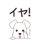 やさしいシュナウザー『秋』（個別スタンプ：8）