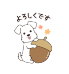やさしいシュナウザー『秋』（個別スタンプ：9）