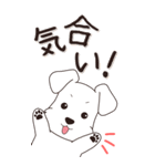 やさしいシュナウザー『秋』（個別スタンプ：13）
