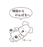 やさしいシュナウザー『秋』（個別スタンプ：14）