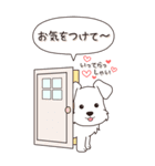 やさしいシュナウザー『秋』（個別スタンプ：21）