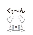 やさしいシュナウザー『秋』（個別スタンプ：27）