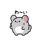 ゆるふわチンチラ（文字付き）（個別スタンプ：13）