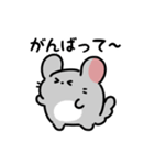 ゆるふわチンチラ（文字付き）（個別スタンプ：21）