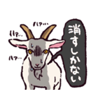 ヤギです.（個別スタンプ：4）