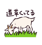 ヤギです.（個別スタンプ：25）