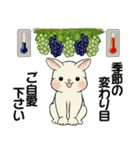 ラブリーうさぎさんのほっこり秋冬スタンプ（個別スタンプ：16）