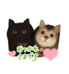 犬と猫 普段使い（個別スタンプ：7）