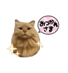 犬と猫 普段使い（個別スタンプ：8）