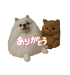 犬と猫 普段使い（個別スタンプ：11）