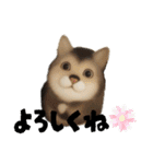 犬と猫 普段使い（個別スタンプ：32）