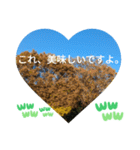 僕は今もここにいるよ 有名な日常挨拶（個別スタンプ：13）