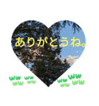僕は今もここにいるよ 有名な日常挨拶（個別スタンプ：15）