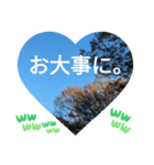 僕は今もここにいるよ 有名な日常挨拶（個別スタンプ：17）