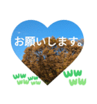 僕は今もここにいるよ 有名な日常挨拶（個別スタンプ：19）