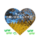 僕は今もここにいるよ 有名な日常挨拶（個別スタンプ：24）