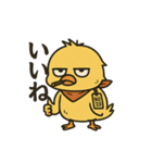 やさぐれヒヨコ/日常×挨拶×返事（個別スタンプ：17）