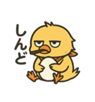 やさぐれヒヨコ/日常×挨拶×返事（個別スタンプ：33）