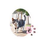 にゃあのあいさつ状Part8（個別スタンプ：20）