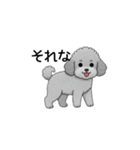 フランクな会話のトイプードル グレー（個別スタンプ：4）