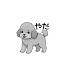フランクな会話のトイプードル グレー（個別スタンプ：6）