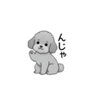 フランクな会話のトイプードル グレー（個別スタンプ：8）