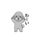 フランクな会話のトイプードル グレー（個別スタンプ：9）