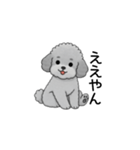 フランクな会話のトイプードル グレー（個別スタンプ：10）