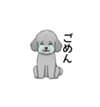 フランクな会話のトイプードル グレー（個別スタンプ：11）