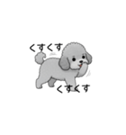 フランクな会話のトイプードル グレー（個別スタンプ：13）