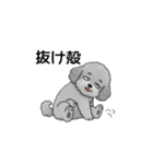 フランクな会話のトイプードル グレー（個別スタンプ：15）