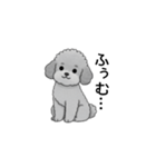 フランクな会話のトイプードル グレー（個別スタンプ：16）