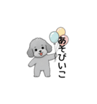 フランクな会話のトイプードル グレー（個別スタンプ：26）
