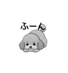 フランクな会話のトイプードル グレー（個別スタンプ：29）