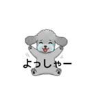 フランクな会話のトイプードル グレー（個別スタンプ：30）