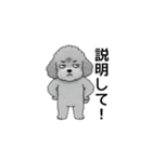 フランクな会話のトイプードル グレー（個別スタンプ：33）