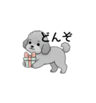 フランクな会話のトイプードル グレー（個別スタンプ：36）
