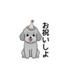 フランクな会話のトイプードル グレー（個別スタンプ：37）