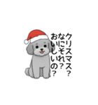 フランクな会話のトイプードル グレー（個別スタンプ：39）