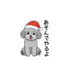 フランクな会話のトイプードル グレー（個別スタンプ：40）