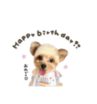 くうくん☆モアちゃんmix（個別スタンプ：18）