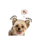 くうくん☆モアちゃんmix（個別スタンプ：23）