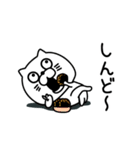 ねこたまっしぐら挨拶仲良しに送る（個別スタンプ：15）