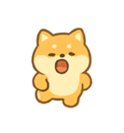 もふもふ柴犬Dangoのまいにち（個別スタンプ：1）